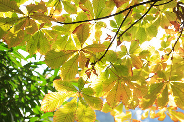 Similar image 5576280