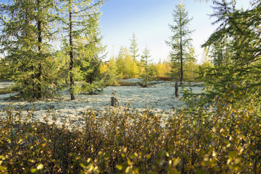 Similar image 5576306