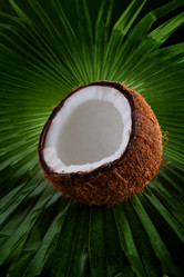 Similar image 5576486