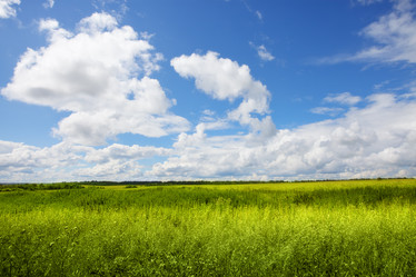 Similar image 5576510