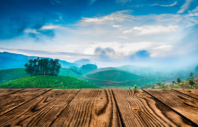 Similar image 5576541