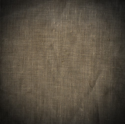 Similar image 5576725