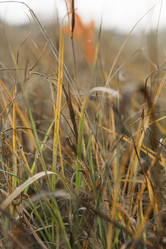 Similar image 5576770