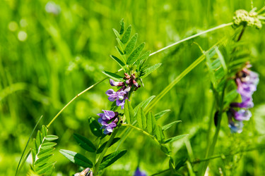 Similar image 5576808