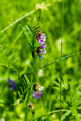 Similar image 5576809