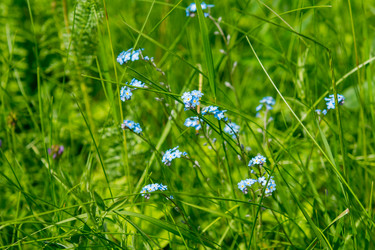 Similar image 5576810