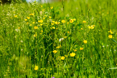 Similar image 5576811