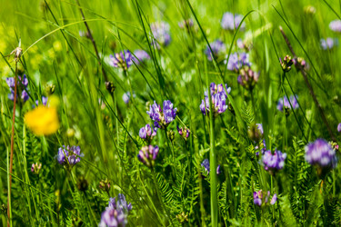 Similar image 5576812