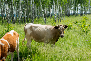 Similar image 5576814