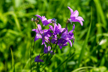 Similar image 5576815