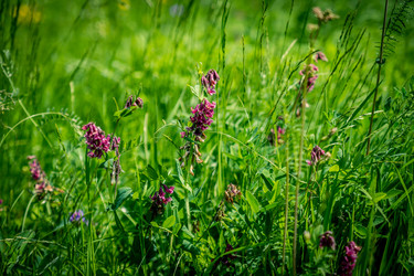 Similar image 5576816