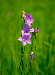 Similar image 5576817