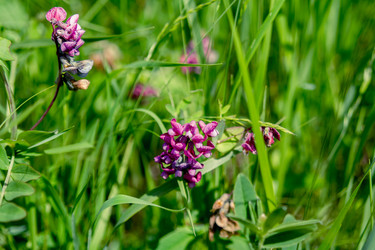 Similar image 5576818