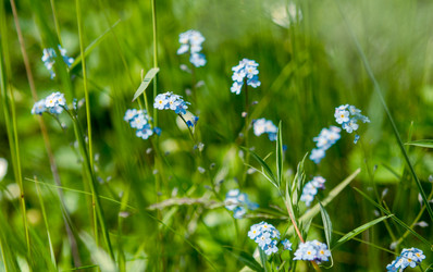 Similar image 5576819