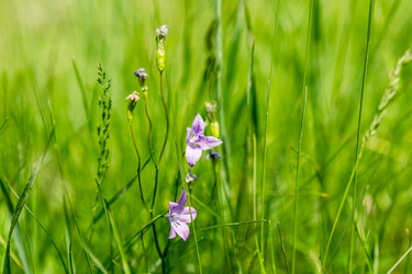 Similar image 5576820