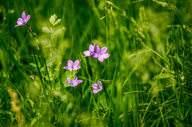 Similar image 5576821