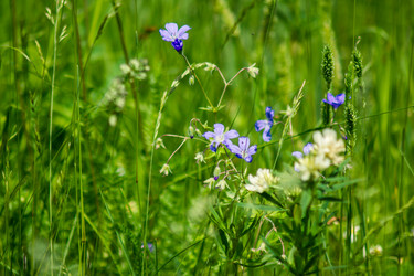 Similar image 5576822