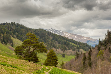 Similar image 5576850