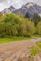 Similar image 5576853