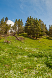 Similar image 5576855