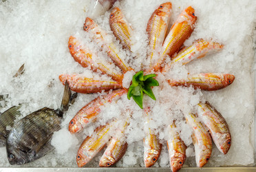 Similar image 5576861