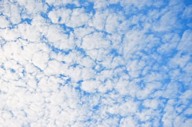 Similar image 5577528