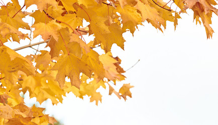 Similar image 5577531