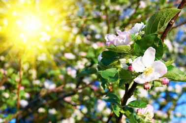 Similar image 5577536