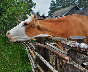 Similar image 5577573