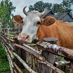 Similar image 5577580