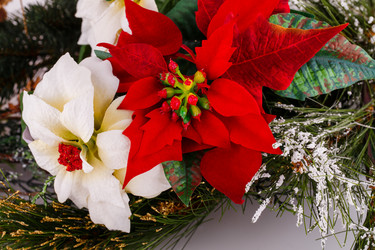 Similar image 5577691