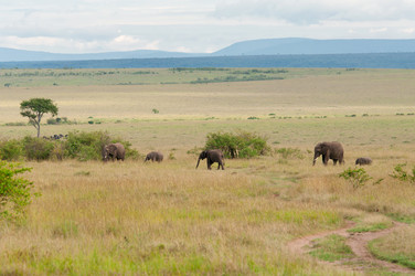 Similar image 5577783