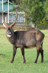 Similar image 5577813