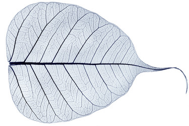 Similar image 5577879