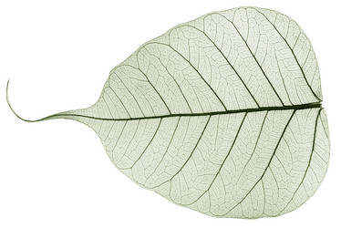 Similar image 5577880