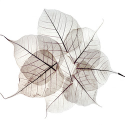 Similar image 5577891