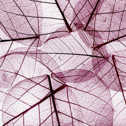 Similar image 5577892