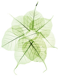 Similar image 5577893