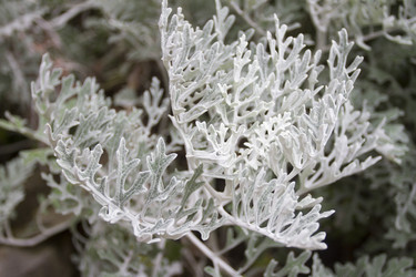 Similar image 5577937