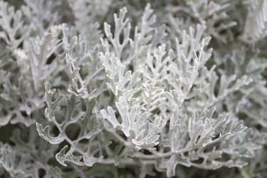 Similar image 5577938