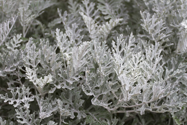 Similar image 5577939