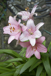 Similar image 5577946