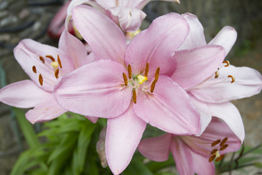 Similar image 5577947