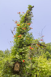 Similar image 5577996