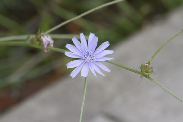 Similar image 5578003