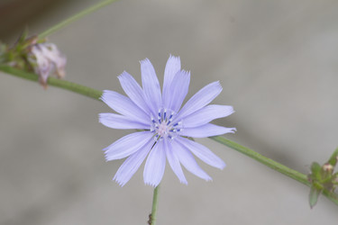 Similar image 5578004