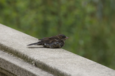 Similar image 5578007