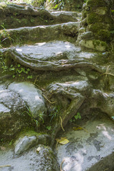 Similar image 5578016