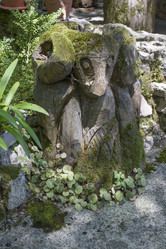 Similar image 5578019