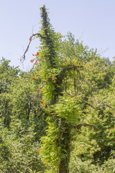 Similar image 5578031